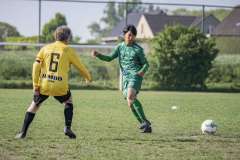 dsc-7941.jpg