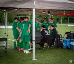 img-5356o.jpg