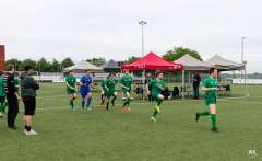 img-5362a.jpg